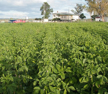 latest